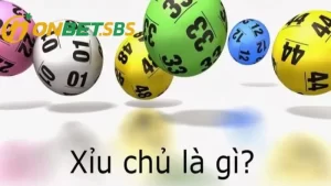 Xỉu chủ là gì